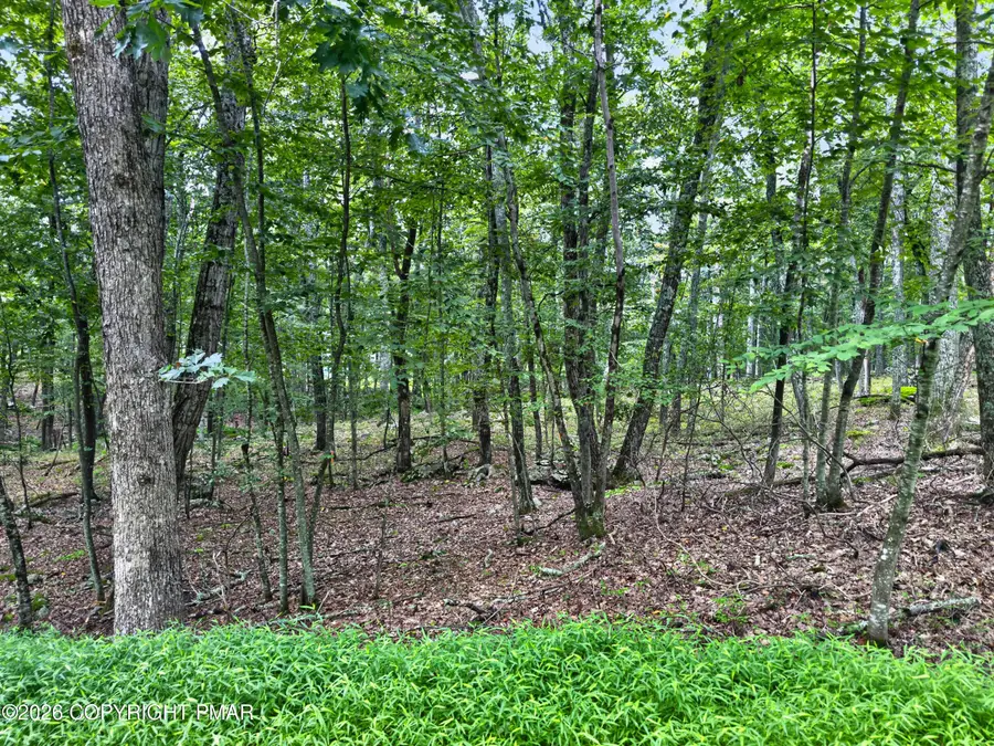 Cowaw Road, Milford, PA 18337 - #2