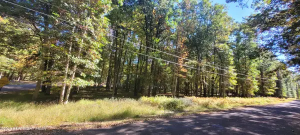 A310 Towamensing Trail & Byron Lane, Albrightsville, PA 18210