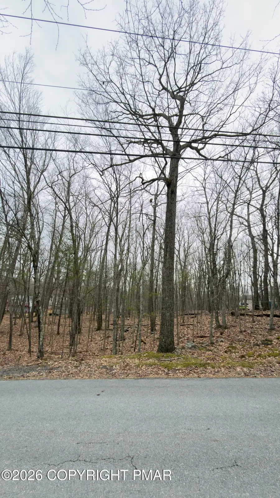 Upper Lakeview Drive, Lackawaxen, PA 18435 - #3