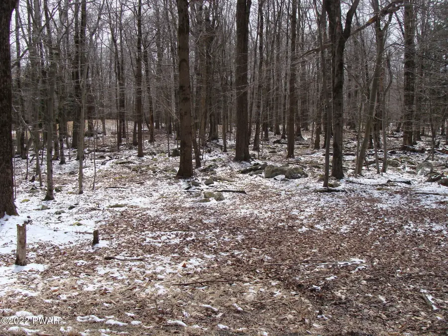 Valley Road, Newfoundland, PA 18445 - Image #2