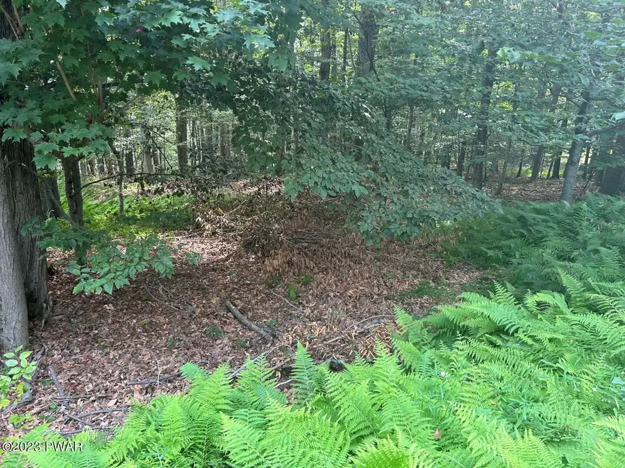 712 Basswood Terrace, Greentown, PA 18426 - Image #2