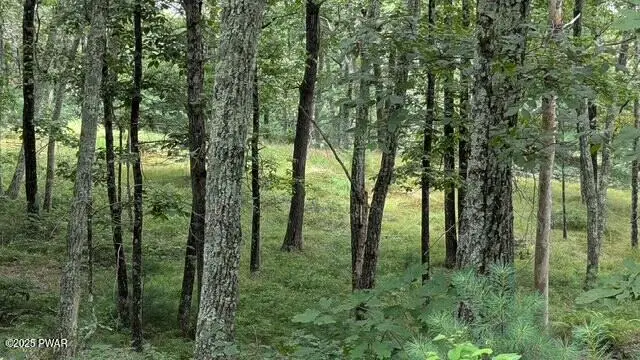 #2