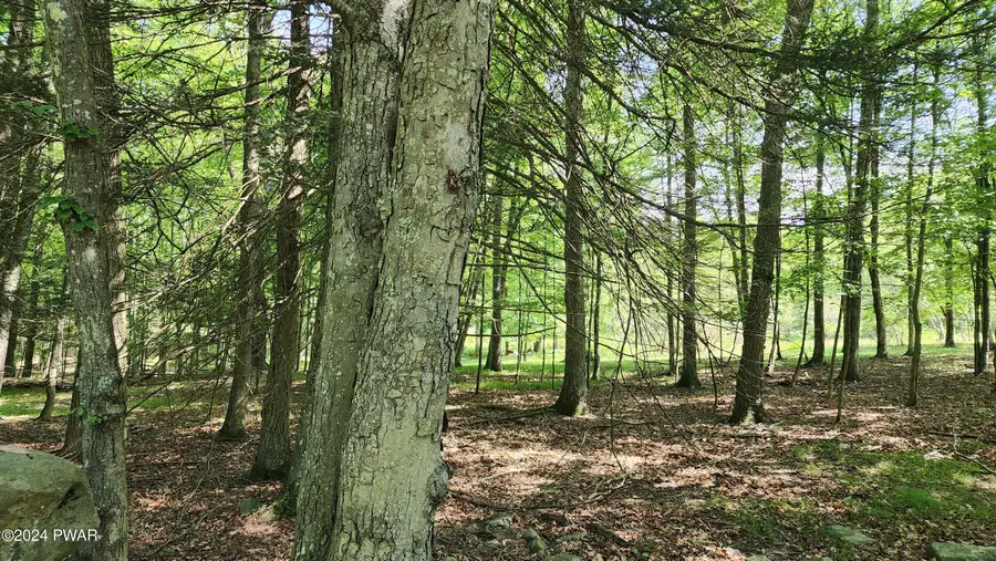 Lot 91 Pocono Mountain Lake Drive, Bushkill, PA 18324 - #3