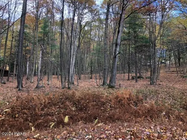 #1