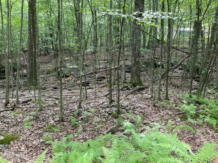 #3