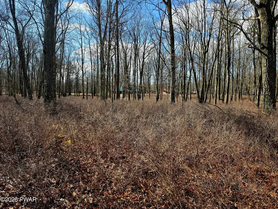 161 Lakeview Circle, Hawley, PA 18428 - #3