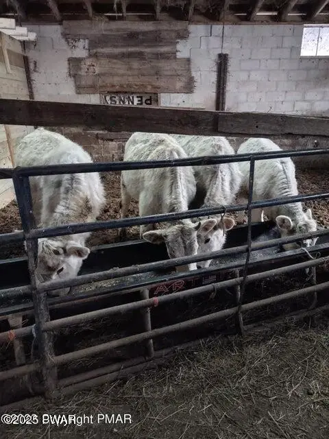 67 E Sterling Road, Newfoundland, PA 18445 - Image #1