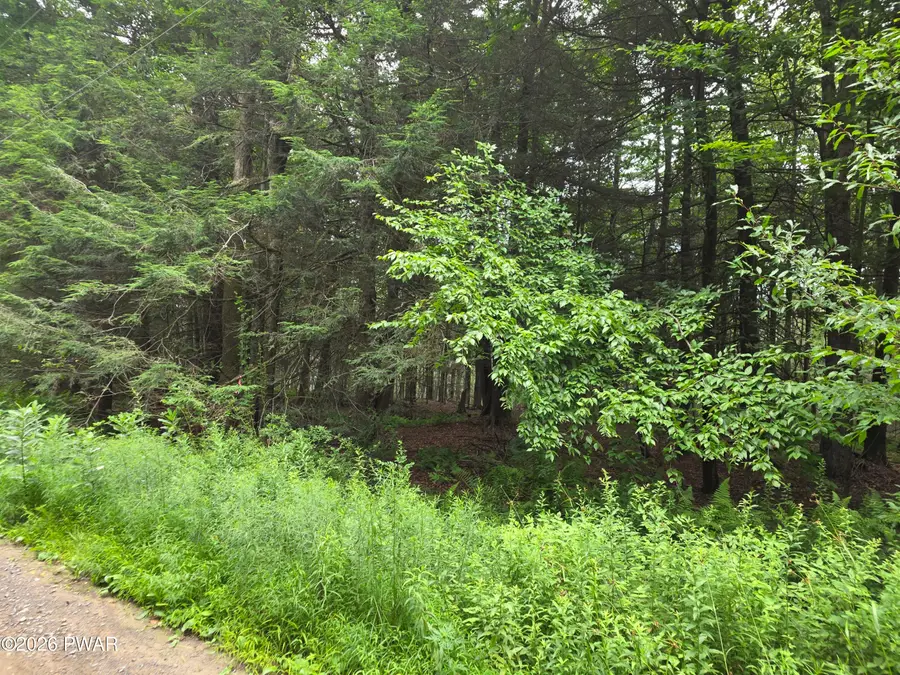 Lot113-116 Arthur Drive, Newfoundland, PA 18445 - #3