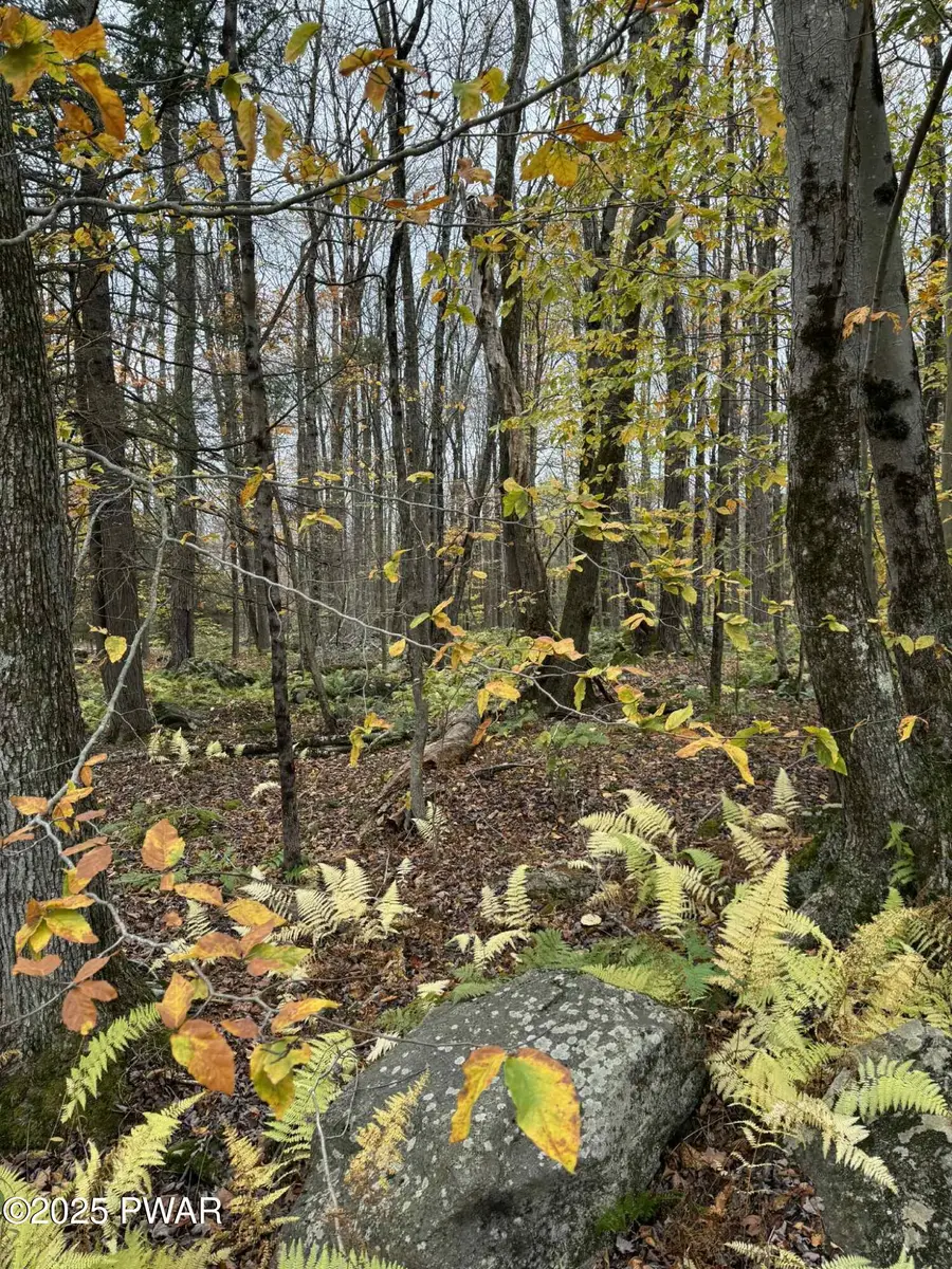 14 Hemlock Lane, Lake Ariel, PA 18436 - Image #2