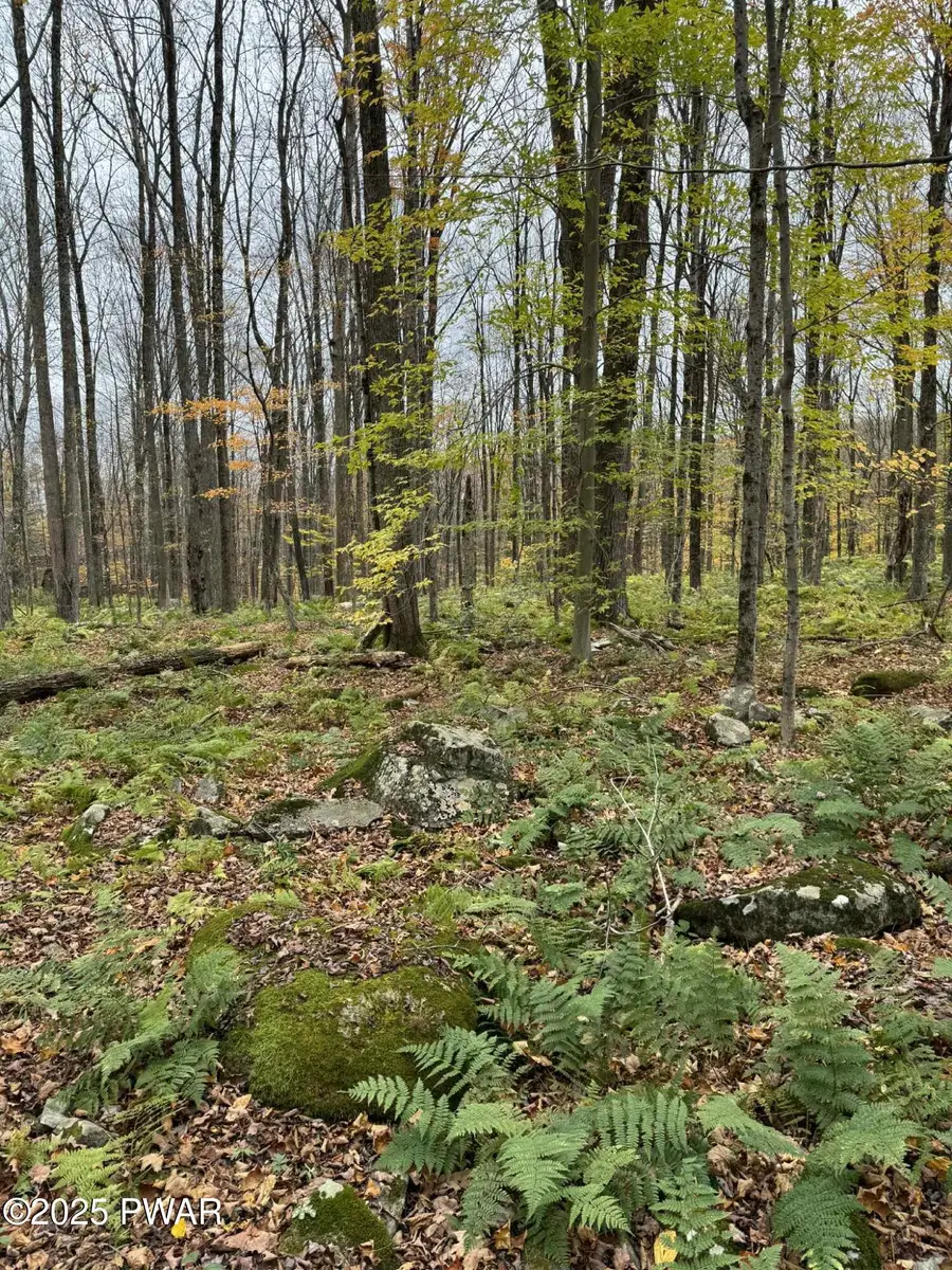 14 Hemlock Lane, Lake Ariel, PA 18436 - Image #3