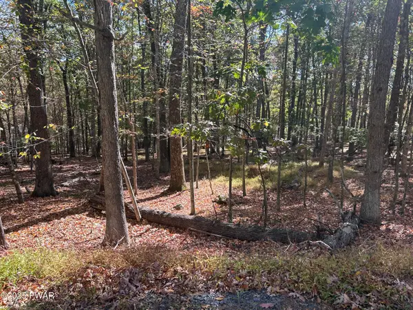 Lot 35 Westcolang Road, Hawley, PA 18428