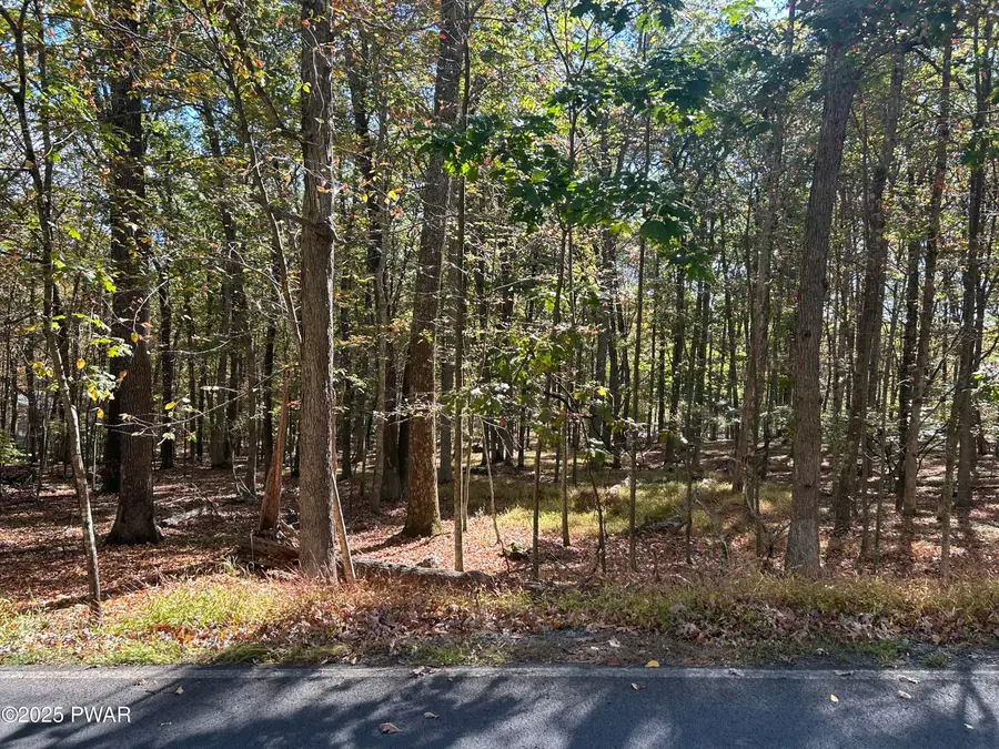 Lot 35 Westcolang Road, Hawley, PA 18428 - Image #3