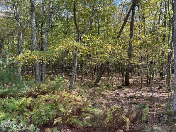 Lot 410 Fox Road, Dingmans Ferry, PA 18328