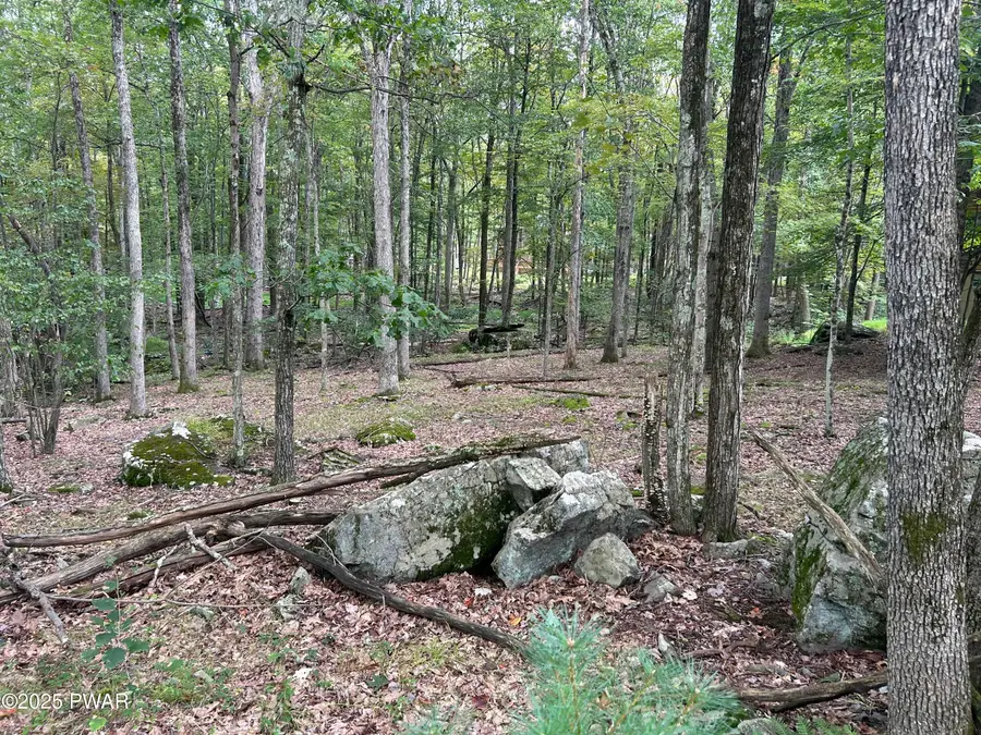 Lot 42 Willow Drive, Hawley, PA 18428 - Image #3