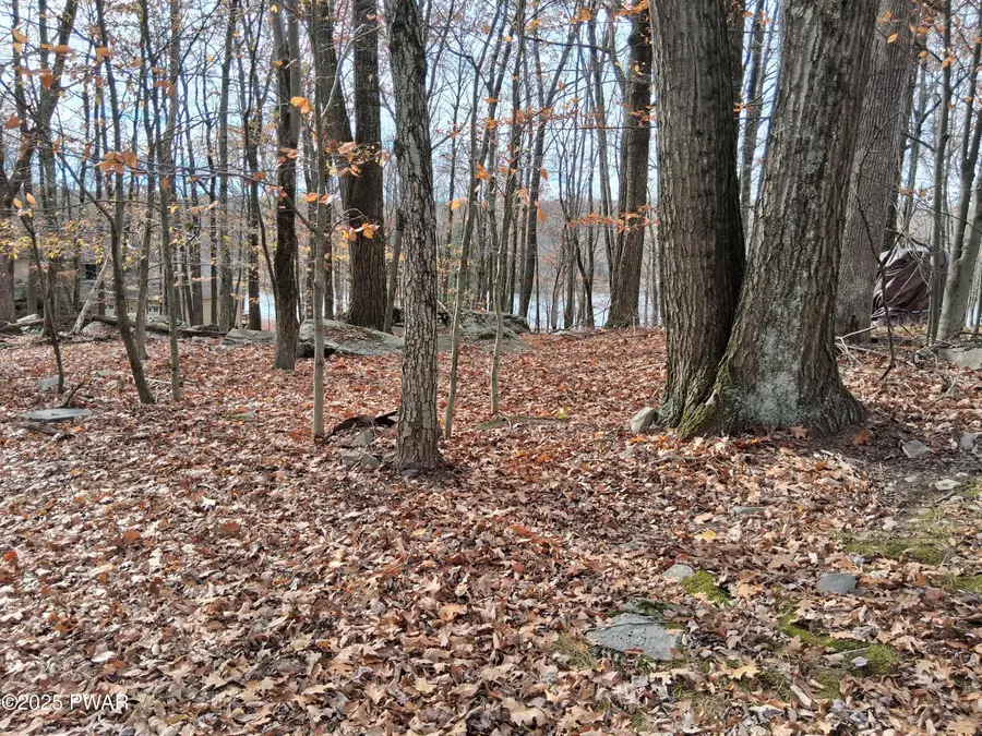 1E16 E Shore Drive, Paupack, PA 18427 - Image #3