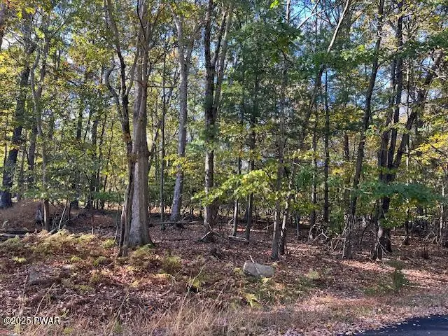 Lot 332 Racoon Road, Dingmans Ferry, PA 18328 - Image #2