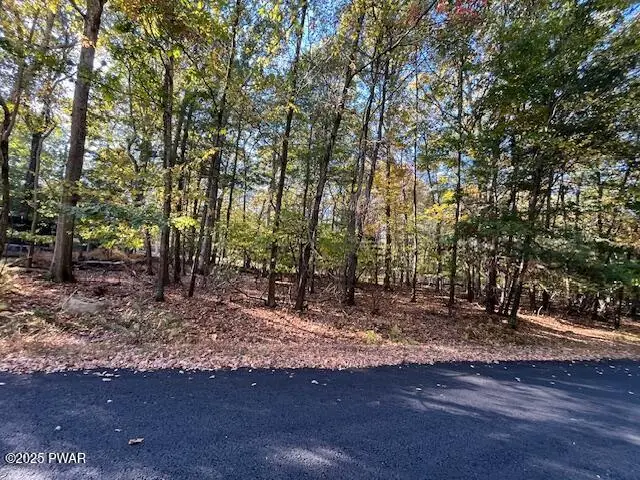 Lot 332 Racoon Road, Dingmans Ferry, PA 18328 - Image #3