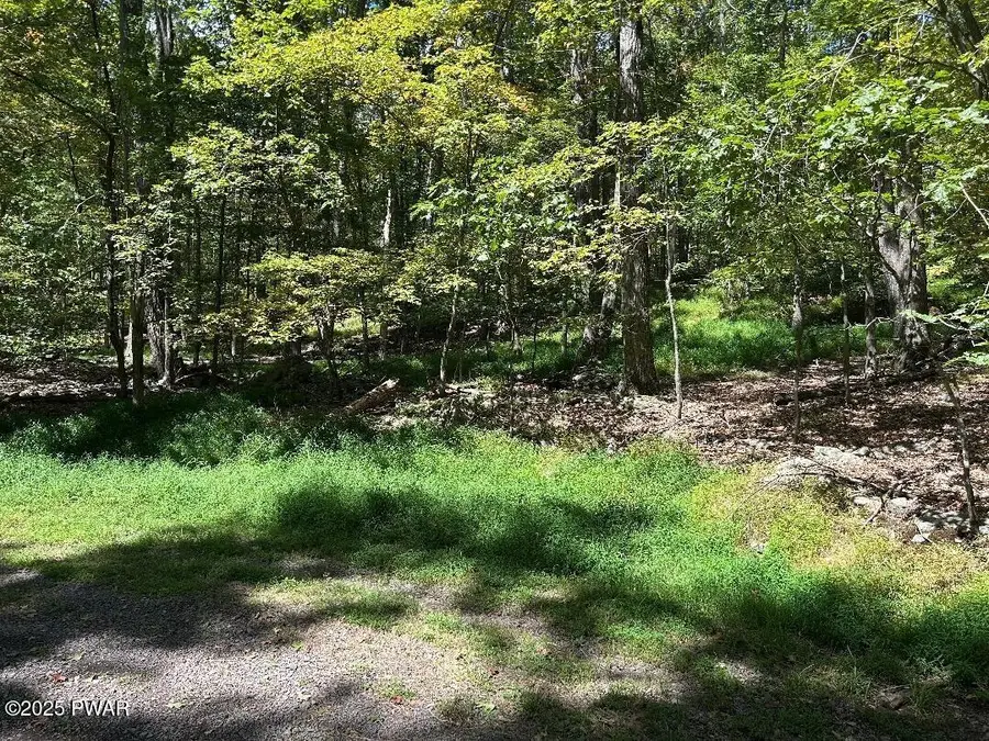 Ojibway Drive, Lakeville, PA 18438 - Image #2