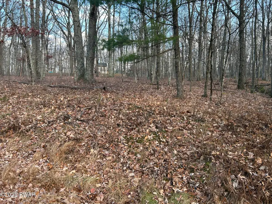 Lot 9 Tamarack Drive, Hawley, PA 18428 - Image #2