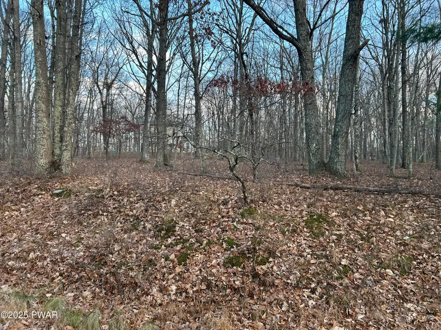 Lot 9 Tamarack Drive, Hawley, PA 18428 - Image #3