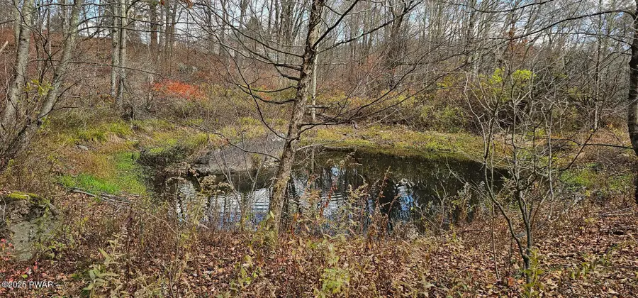 101 Delaware Drive, Damascus, PA 18415 - Image #2