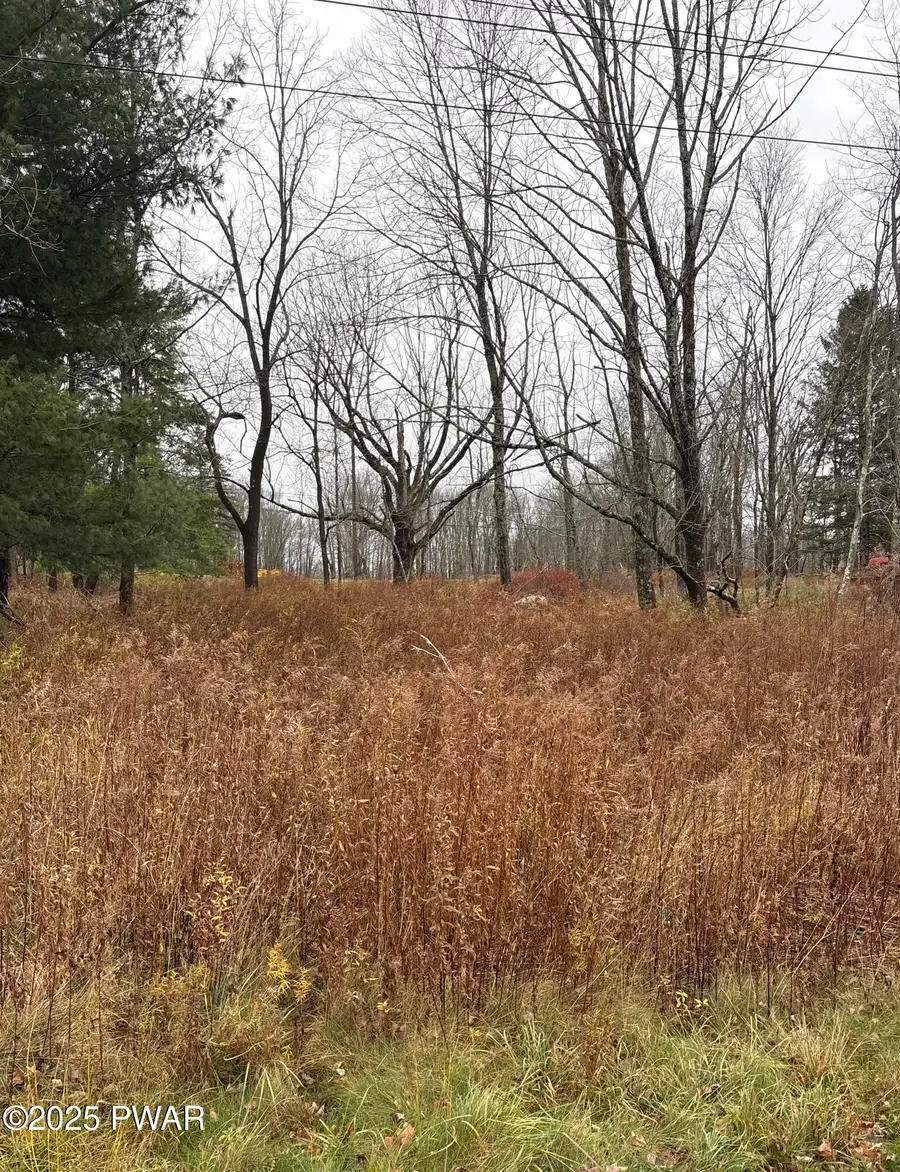 2093 Glenwood Lane, Lake Ariel, PA 18436 - Image #2