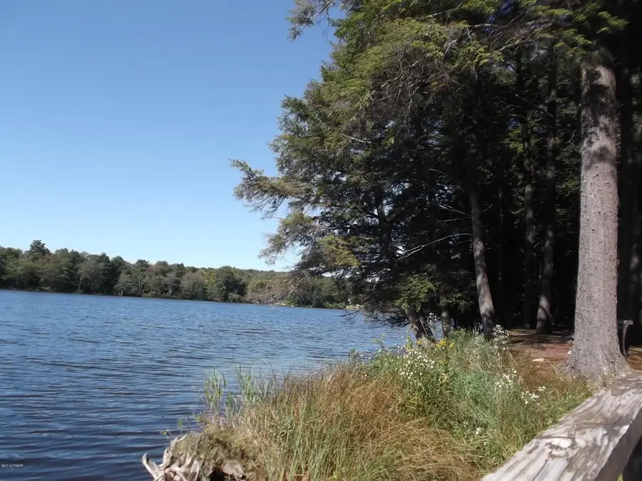 50 Forest Road, Poyntelle, PA 18454 - Image #3