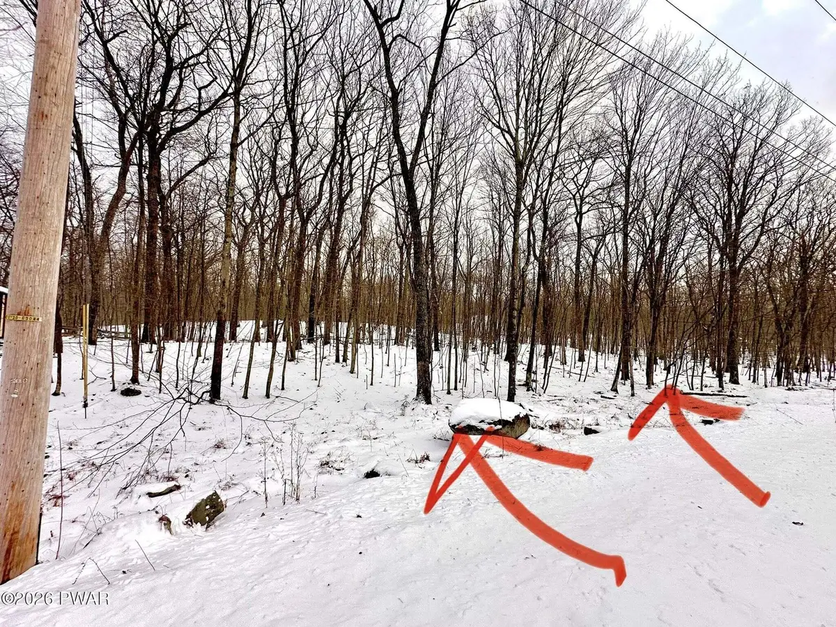 Port Drive, Dingmans Ferry, PA 18328 - Image #1