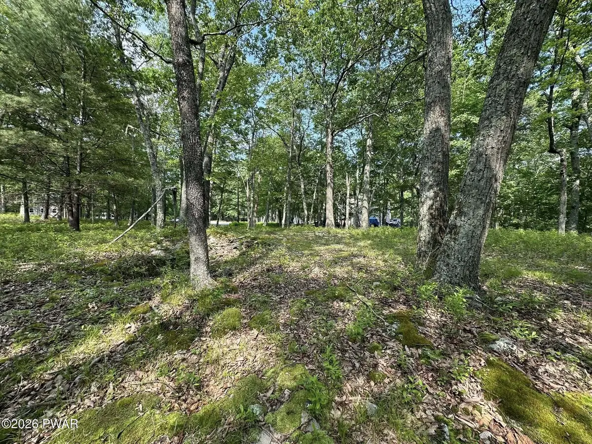 W Colang Court, Lackawaxen, PA 18435 - #1