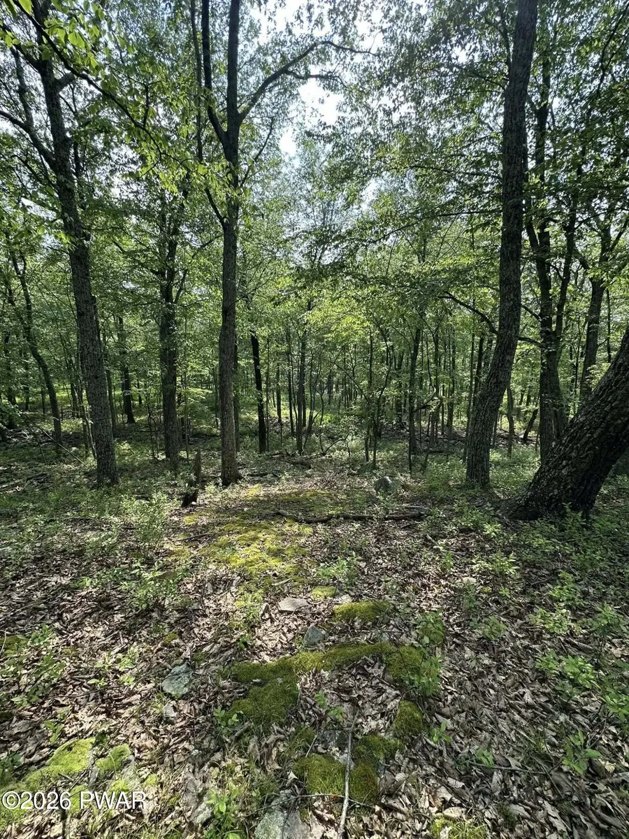 W Colang Court, Lackawaxen, PA 18435 - #3