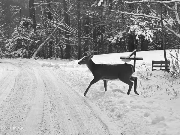 Lot 15 Game Trail Drive, Greentown, PA 18426