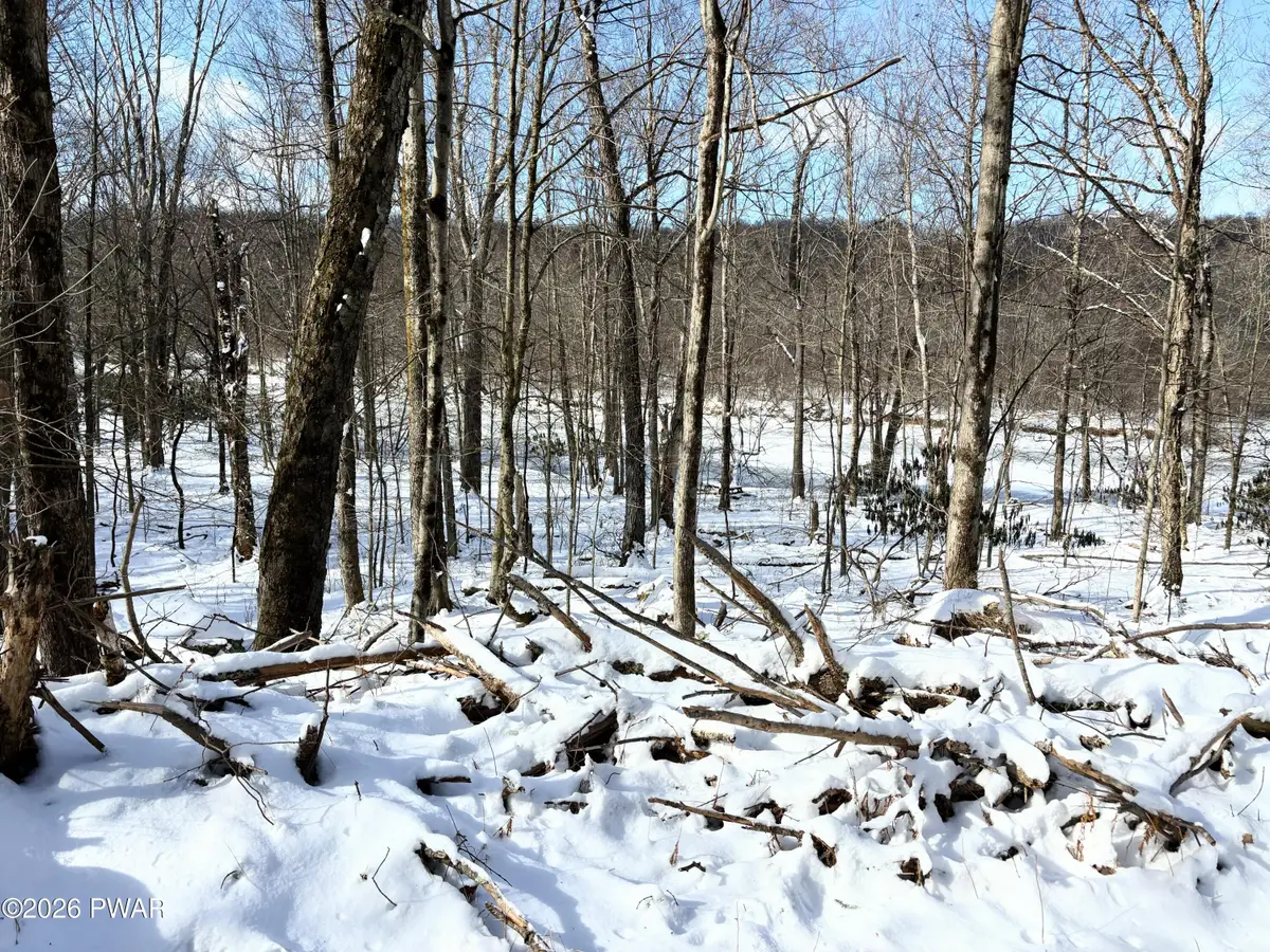 174-175R Rainbow Trout Terrace, Greentown, PA 18426 - #1