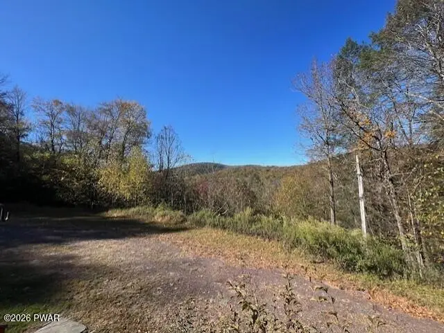 166 Lordville Road, Equinunk, PA 18417 - #3