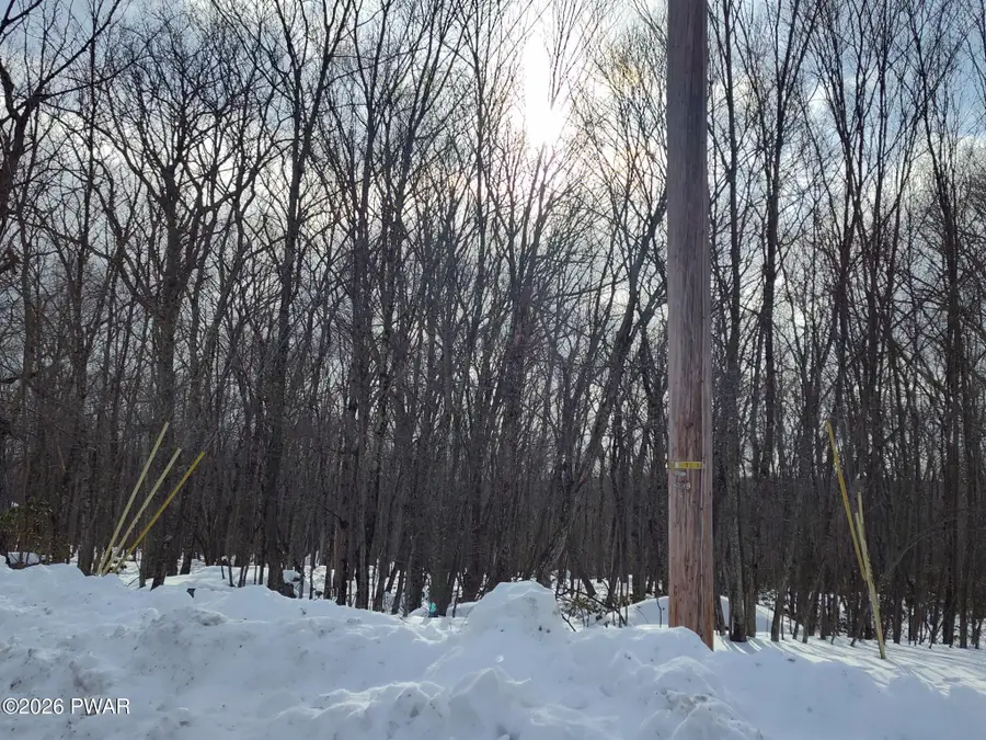 229 Locust Drive, Pocono Woodland Lakes, PA 18337 - #3