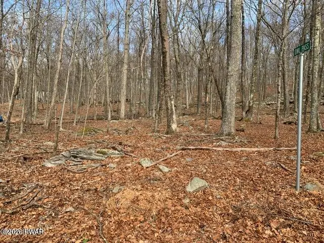Lot 644 Woodcock Road, Pocono Ranch Lands, PA 18324 - #2