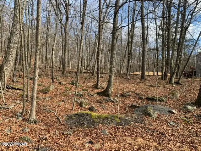 Lot 575 Owl Pass Road, Dingmans Ferry, PA 18328 - #3