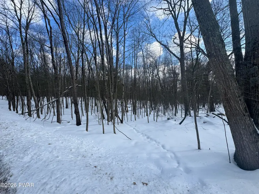 1.03 Acres Gunstock Lane, Tafton, PA 18464 - #2