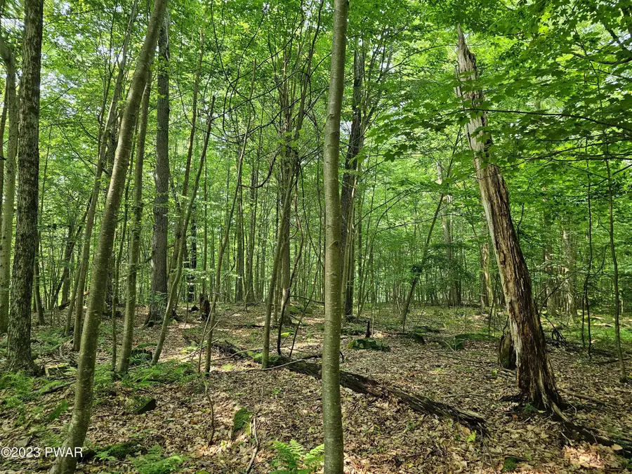 Lot 61 Rock Run Road, Equinunk, PA 18417 - #3