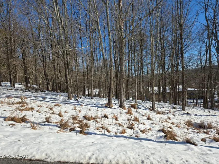 Lot 697 Black Bear Road, Lake Ariel, PA 18436 - #2