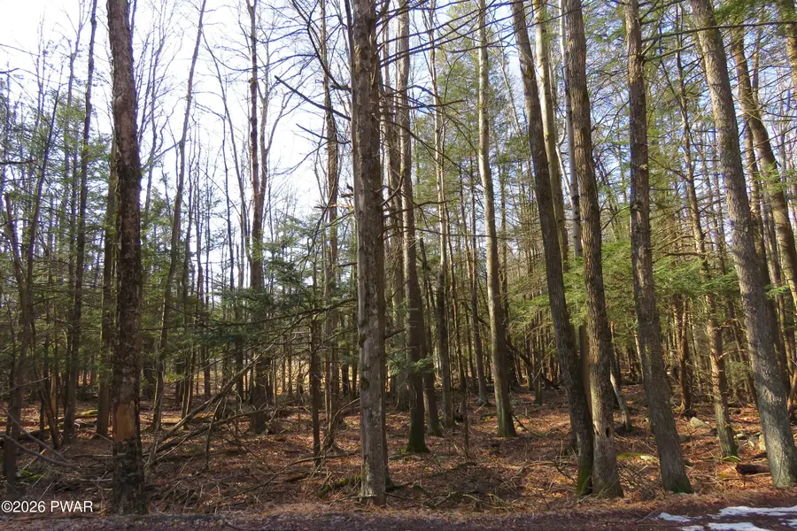 Lots 20-22 Orion Way, Lake Ariel, PA 18436 - #3