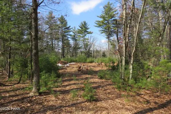 Lot 30 Ledgecrest Road, Hawley, PA 18428