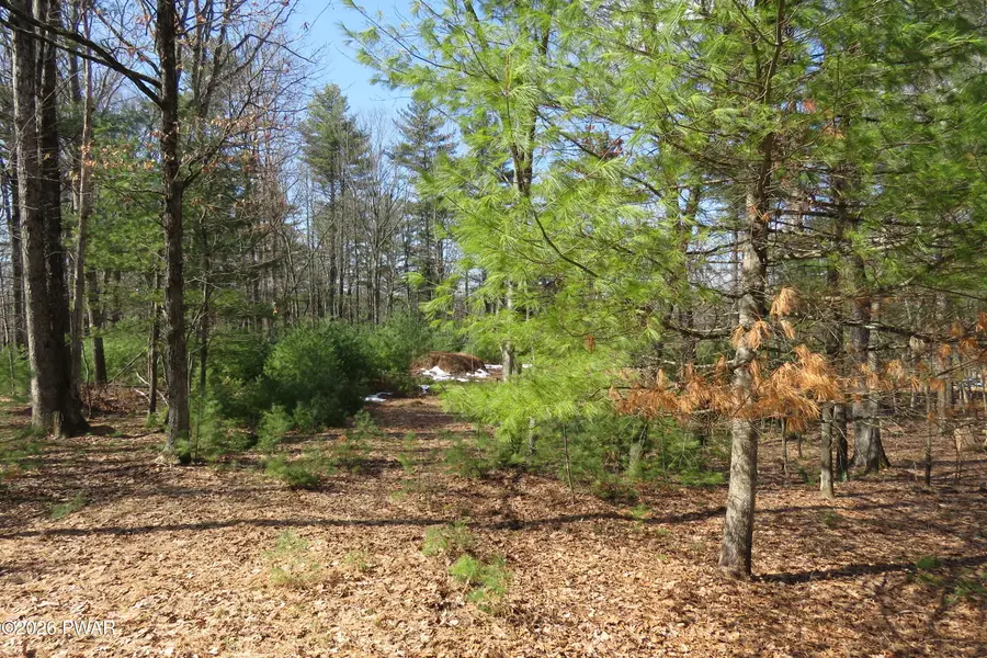 Lot 30 Ledgecrest Road, Hawley, PA 18428 - #2
