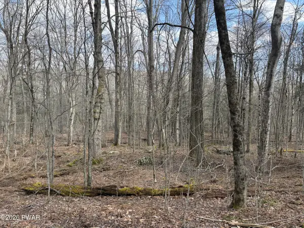 Lot 205 Hemlock Terrace S, Greentown, PA 18426