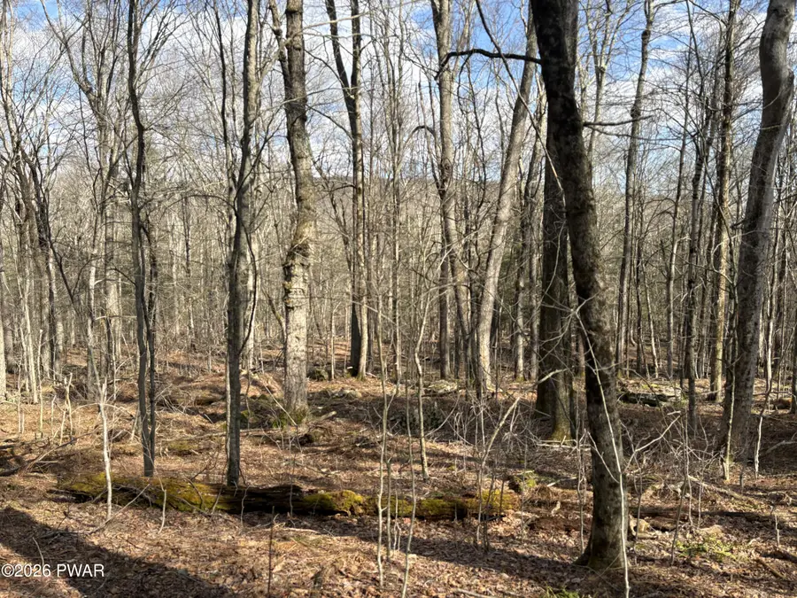 Lot 205 Hemlock Terrace S, Greentown, PA 18426 - #2
