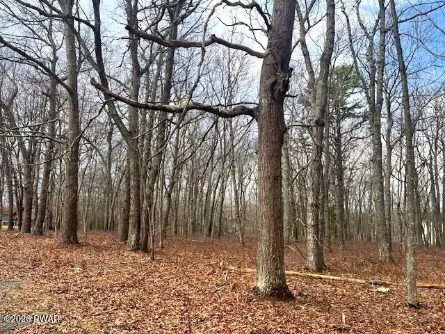Lot 199 Oak Lane, Milford, PA 18337 - #1