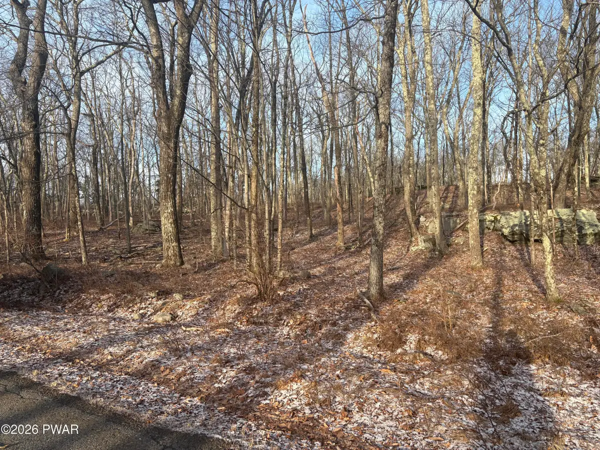 lot 39 Acres Drive, Dingmans Ferry, PA 18328 - #1