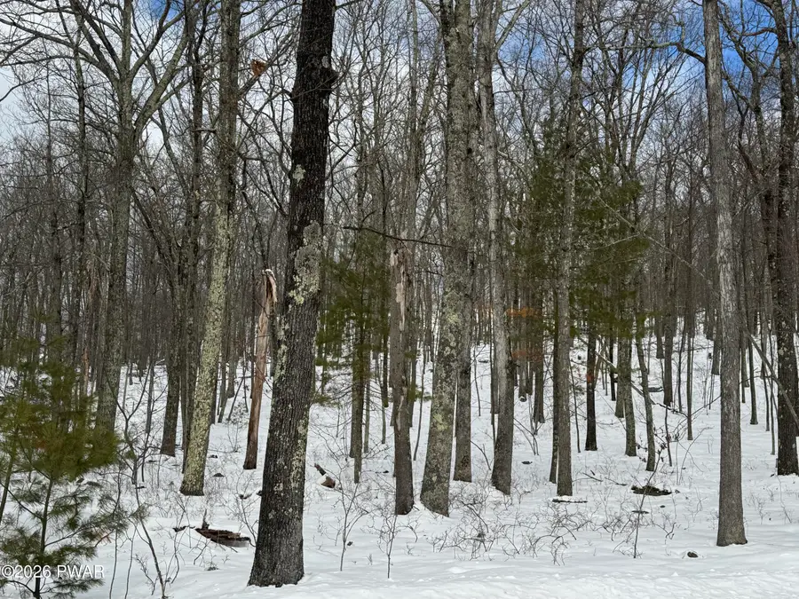 1.12 Acres Urban Road, Lords Valley, PA 18428 - #3