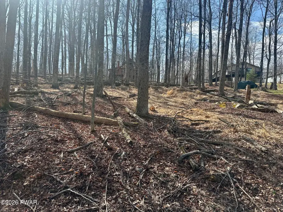 Lot 86 Cherry Lane, Greentown, PA 18426 - #2