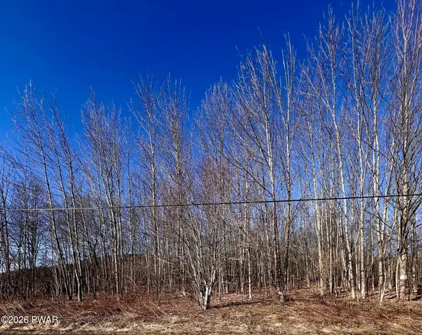 0 Belmont Turnpike, Waymart, PA 18470