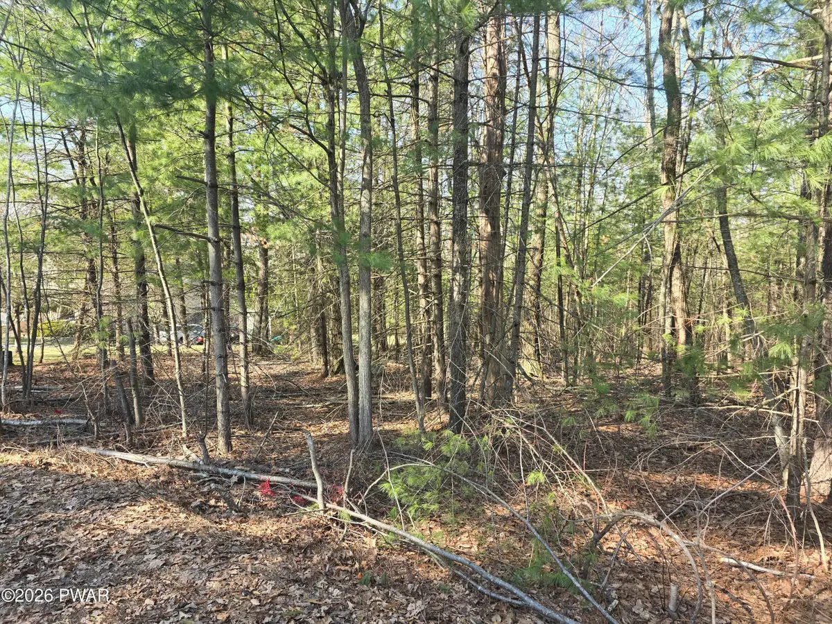 LOT 3 Stone Ridge Road, Dingmans Ferry, PA 18328 - #1